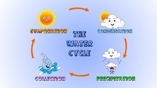 The Water Cycle How rain is formedLesson for kids [upl. by Nylrehs]