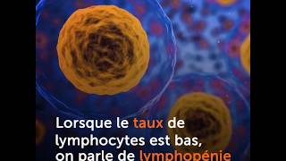 Lymphopénie  taux de lymphocytes bas [upl. by Ludeman]