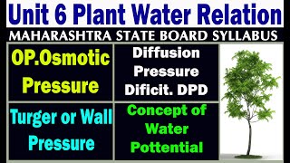 Osmotic Pressure Turgor Pressure DPD and Concept of Water Potential From Plant Water Relation [upl. by Pellikka]