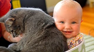 Babies Laughing Hysterically at Cats Compilation NEW [upl. by Holmann574]