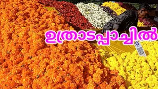 ഉത്രാടപ്പാച്ചിൽ  ഓണക്കാഴ്ചകൾ  Happy Onam [upl. by Katt204]