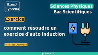 Bac Scientifiques  comment résoudre un exercice dauto induction  Sciences Physiques🧲 [upl. by Janik]