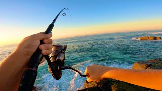 Tailor and Trevally  Bait Fishing off the Rocks NSW [upl. by Uird]