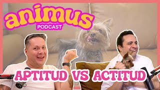 ANIMUS Ep 9 Aptitud vs actitud [upl. by Castor]