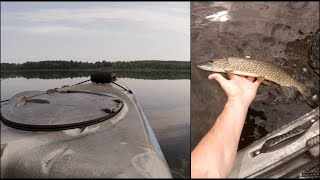 Kayak Fishing for Summer Pike  Mountsberg Reservoir [upl. by Htenay877]