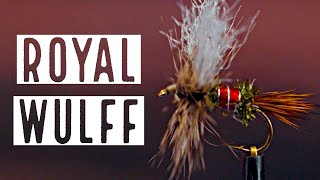 Royal Wulff Fly Pattern Fly Tying Tutorial [upl. by Nylkoorb]