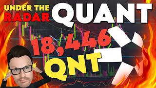 🚨 QUANT  18446 QNT S  INDONESIA LINKS TO RTGS  TX UNDER RADAR QNT QUANTCOIN QUANTCRYPTO [upl. by Minni]