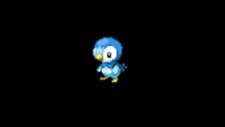 Pokemon Cries  393 Piplup [upl. by Yornek870]