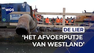 Maatregelen tegen wateroverlast in De Lier [upl. by Gehman556]