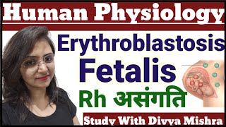 BLOOD GROUPS  Rh incompatibility  TGT PGT LT RPSC HOME SCIENCE CLASSES BY DIVYA MISHRA [upl. by Yrocal]