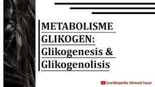 Metabolisme dan Regulasi Glikogen Glikogenesis amp Glikogenolisis [upl. by Ahtiek]