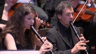 JS Bach Brandenburgs Concert nr 4  Hofkapelle München  Live concert HD [upl. by Rebmyt]