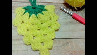 Crochet Piña  Ananá tejida paso a paso Apliques [upl. by Jermaine]