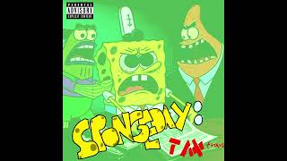 SpongeDay Tax Fraud [upl. by Yelnet499]