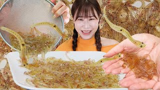 꿈틑 탱글 꼬들 파닥 사백어회 🌊 병아리 대환장 파티😋먹방 Live Ice Goby 🐟 Fish Sashimi 死白魚 EATING SOUNDS MUKBANG モッパン 이팅사운드 [upl. by Joselyn]