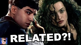 Bellatrix amp Credence Are Related  Fantastic Beasts Theory [upl. by Amle]