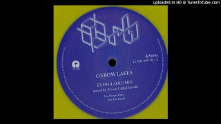 The Orb  Oxbow Lakes Everglades Mix by A Guy Called Gerald [upl. by Oinotnanauj923]