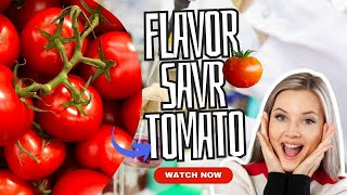 How the Flavor Savr Tomato Transformed the Taste of Tomatoes  Genetically modified tomatoes [upl. by Almena986]