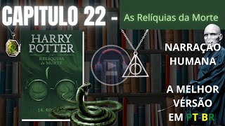 Harry Potter e as Relíquias da Morte ⚡ CAPITULO 22 Audiolivro em PTBR [upl. by Nellie]