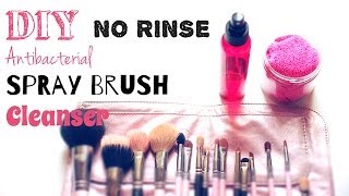 DIY Brush Spray Cleanser NO RINSE  Quick Teaser of My Project [upl. by Dearr]