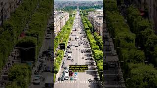 Why were horse chestnut trees planted on the famous ChampsÉlysées Avenue in Paris [upl. by Akinek595]