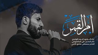 ام القمر  احمد الواجدي  موكب الامام الحسن المجتبى عليه السلام  مجالس محرم الحرام 1446 هـ [upl. by Greeley]