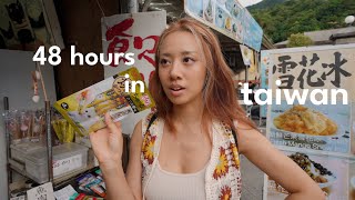 TAIWAN VLOG  first time in taipei best places to eat street markets dim sum amp cat village [upl. by Latt]