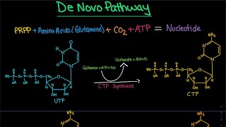 Pyrimidine Synthesis De Novo Pathway CTP dCTP  Biochemistry [upl. by Norry]