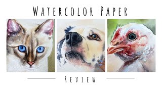 NEW Hahnemuhle Collection Watercolor Paper Full REVIEW [upl. by Aihsel]