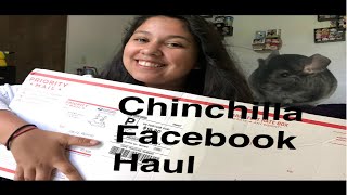 Chinchilla Facebook Haul [upl. by Skardol507]