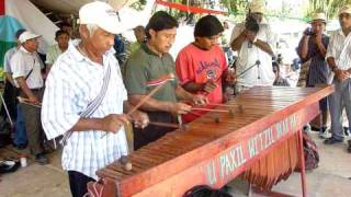 Marimba maya groupe quotSan Antonioquot Belize 042010MOV [upl. by Wojak911]