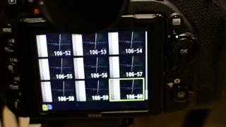 Nikon D750  100 RAWs in continuous burst with Sandisk ExtremePro 95MBs U3 card [upl. by Adara]