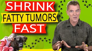 How to Get Rid of Fatty Tumors in Dogs One Simple Supplement [upl. by Hollie125]