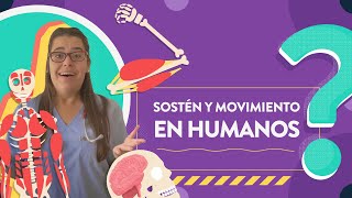 Sostén y movimiento en humanos [upl. by Longerich535]