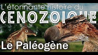 Le paléogène  Cénozoïque 1  Paléontologie  Simplex Paléo [upl. by Olegnaleahcim]