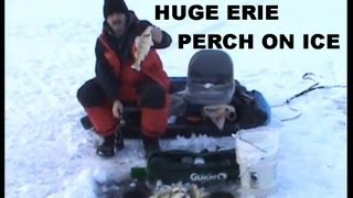 ICE FISHING JUMBO ERIE PERCH [upl. by Rybma]