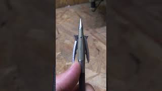 BEAST broadhead is epic broadhead short [upl. by Eelrak]