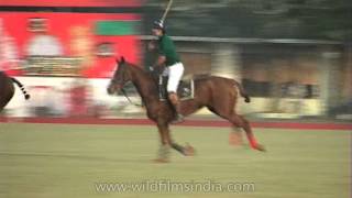 Horse Polo  The sport of kings [upl. by Femi]