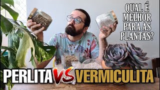 PERLITA ou VERMICULITA  Qual é melhor para as plantas [upl. by Anayrb]