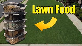 What Fertilizers for Spring Lawns [upl. by Assiren]