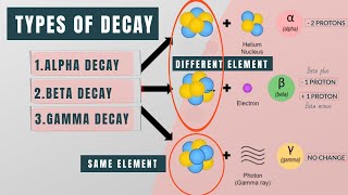 Different types of decay  Alpha vs Beta vs Gamma decay  Visual Explanation [upl. by Shapiro]