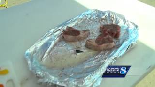 Cookout Contest underway at Iowa State Fair [upl. by Roberson]