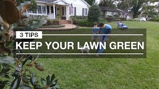 Lawn Care for Greener Grass 3 Quick Tips for Spring [upl. by Hatokad]