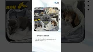 Taiwan Trade  FCWW INC  Taiwantrade [upl. by Shayne]