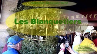 Carnaval de Limoux 2019  Les Blanquetiers [upl. by Jalbert]