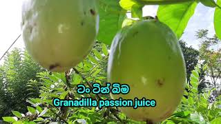 how to make Granadilla passion juice granadilla passion juice srilanka [upl. by Mogerly36]