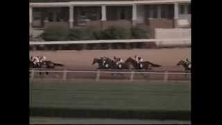 Classic story of legends Round Table Northern Dancer [upl. by Idelia]