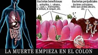 La muerte empieza en el colon Intestinos sucios  Muy Importante [upl. by Haissi239]