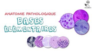 Anatomie Pathologique  Bases élémentaires [upl. by Imoan104]