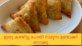 Samosa Recipe Homemade Perfect Samosa Sheet Recipe  Make and Freeze Samosa Sheet [upl. by Atwood]